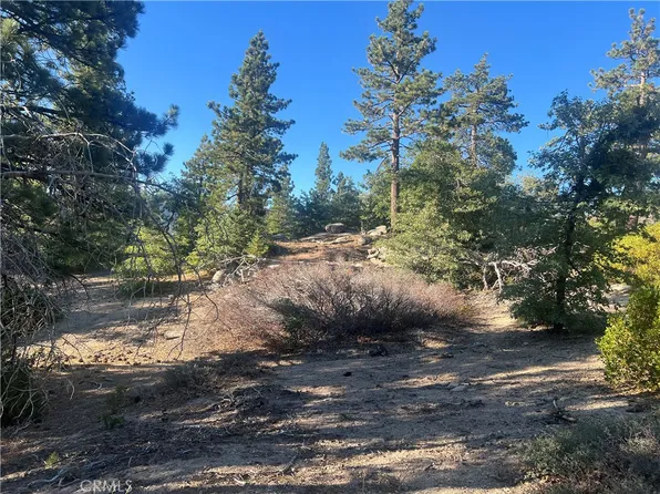 45 Deep Creek Dr Lot 113, Running Springs, CA 92382