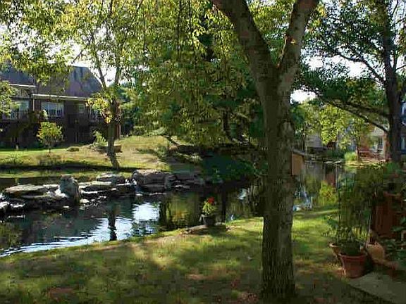 looking out my back door.