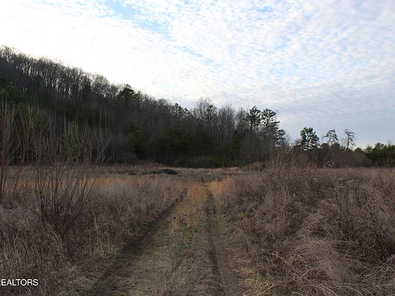 5th image of Davis Creek Rd #2