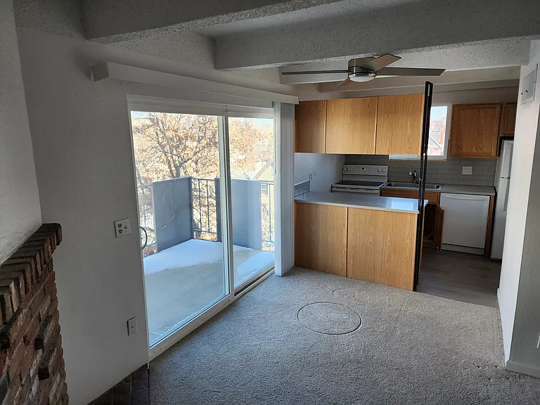 1265 N Race St #409 — Photo 5