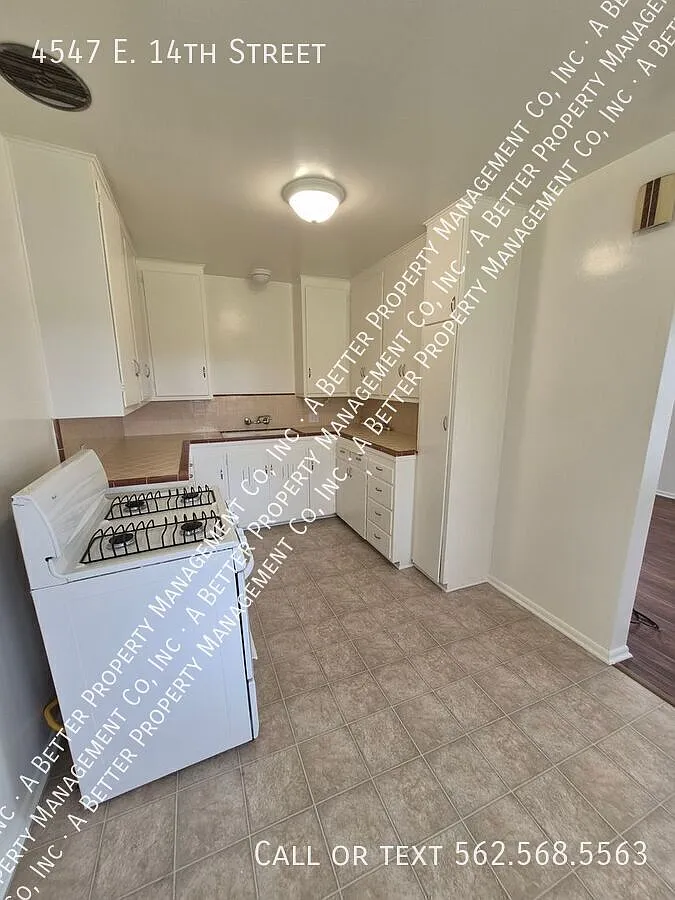 UPPER 1 Bed Near Traffic Circle w/New Plank Floors, HUGE Shared Yard and Garage w/Remote — Photo 3
