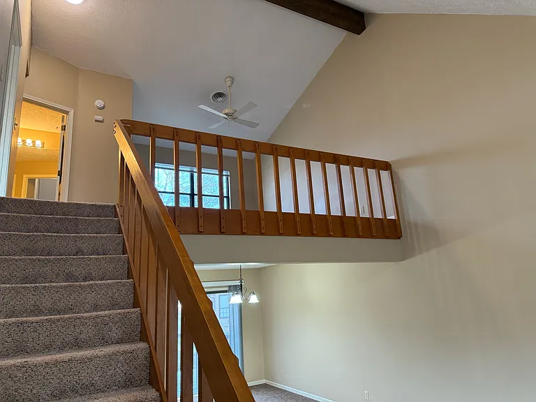346 White Oak Ln — Photo 9