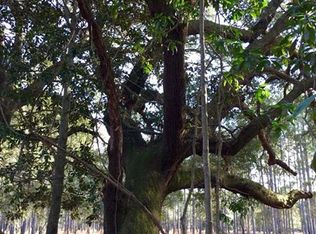 76 Taylor Mill Rd, Ridgeland, SC 29936