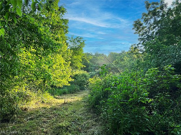 2nd image of 55628 Township Road 90