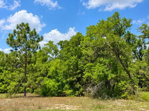 11992 N Condor Dr, Citrus Springs, FL 34433