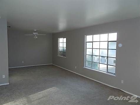 Large Windows in Living Room
