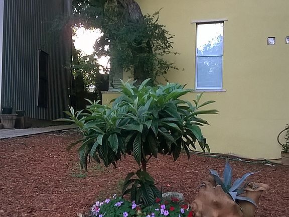 Front View (Street View)