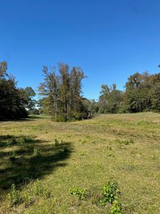 2 County Road 242, Oakwood, TX, 75855