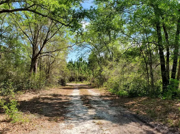0 Wire Rd Lot 11, Lee, FL 32059