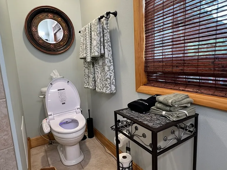 Bidet toilet. Seat warmer, water warmer, warm air dryer, adjustable water pressure and temperature. Self cleaning with ultraviolet germicidal irradiation (UV-C light).