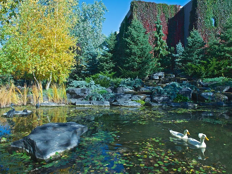 Cedars Falls