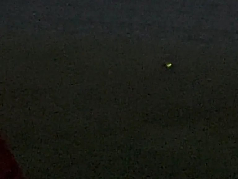 lightening bugs/fireflies can be seen at dusk