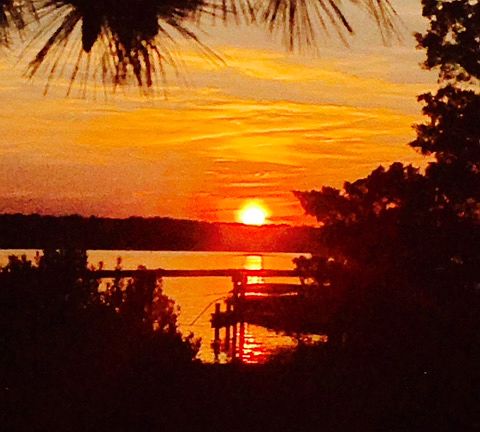 View from Porch