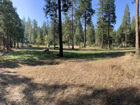 54763 Caddis Ln, Blue River, OR 97413