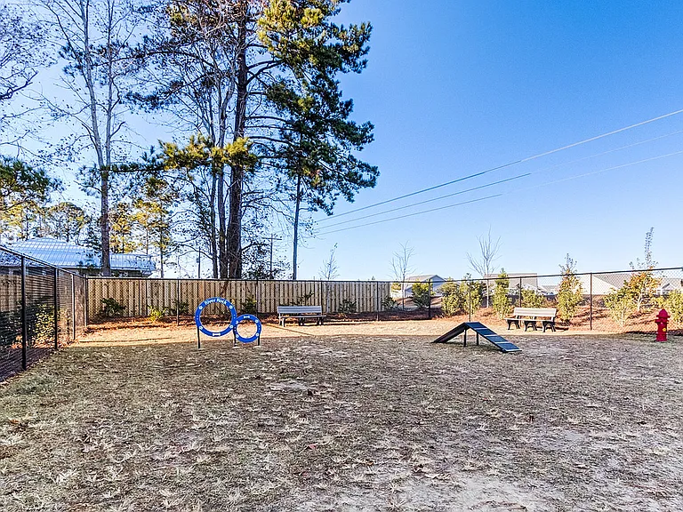 Outdoor Dog Space