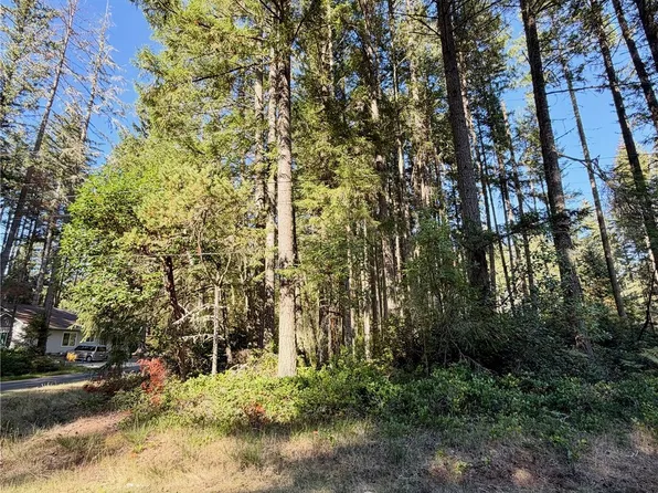 12123 Sunset Pl, Anderson Island, WA 98303