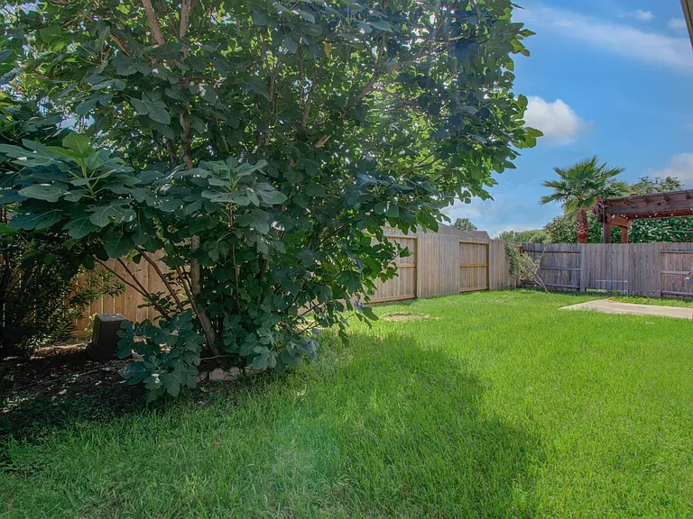 13312 Highland Lake Ln — Photo 26