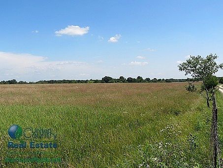 1st image of 5341 County Road 233