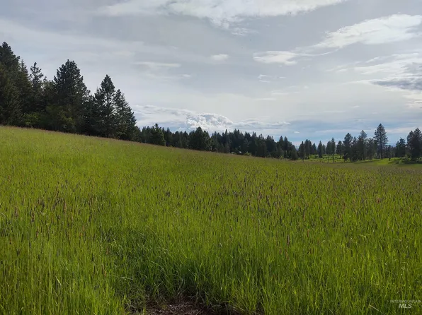 PARCEL 14 Red Fir Rd, Kooskia, ID 83539