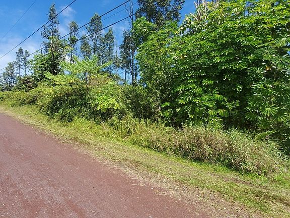 4th image of Hibiscus Dr Lot 33