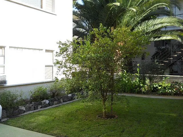2 bed, 855 sqft, $2,595 — Photo 3