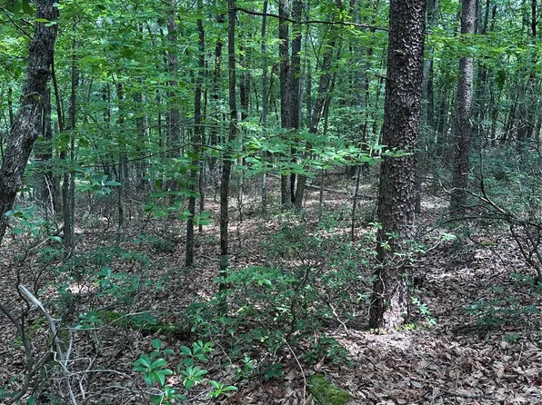 1070 Elm St, Danbury, NC 27016