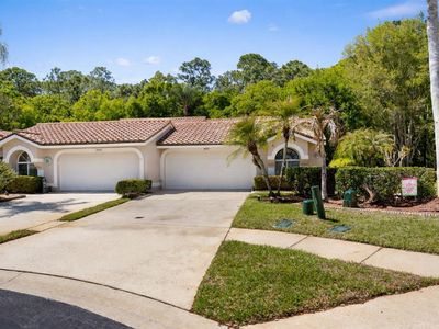 3810 Darston St, Palm Harbor, FL, 34685