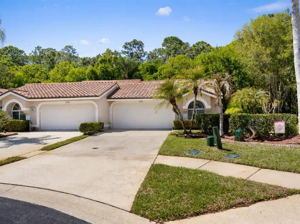 3810 Darston St, Palm Harbor, FL 34685