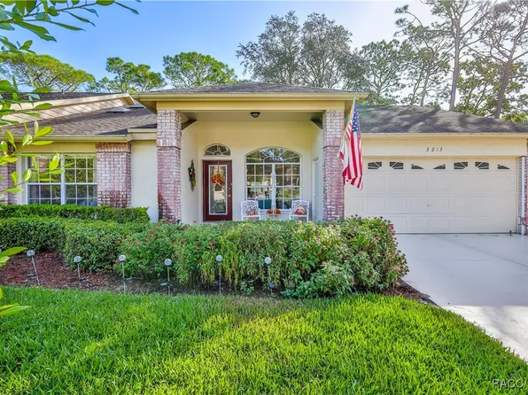 3213 Appleblossom Trl, Spring Hill, FL 34606