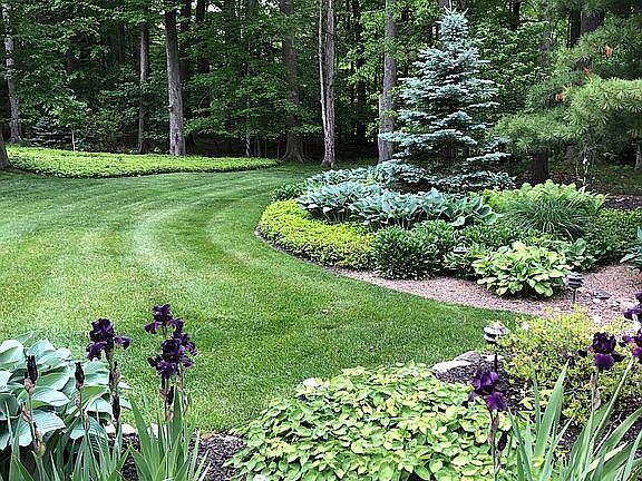 Back yard abuts to Ravine se