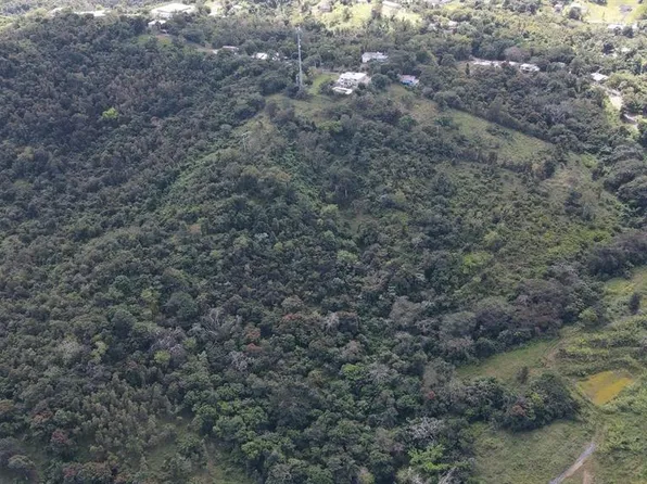 Saint 962 Kmhm 5.6 Bo Cambalache 4 #7-8-6, Canovanas, PR 00729