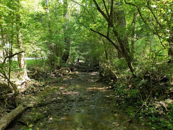 1590 Shryocks Ferry Rd, Versailles, KY 40383