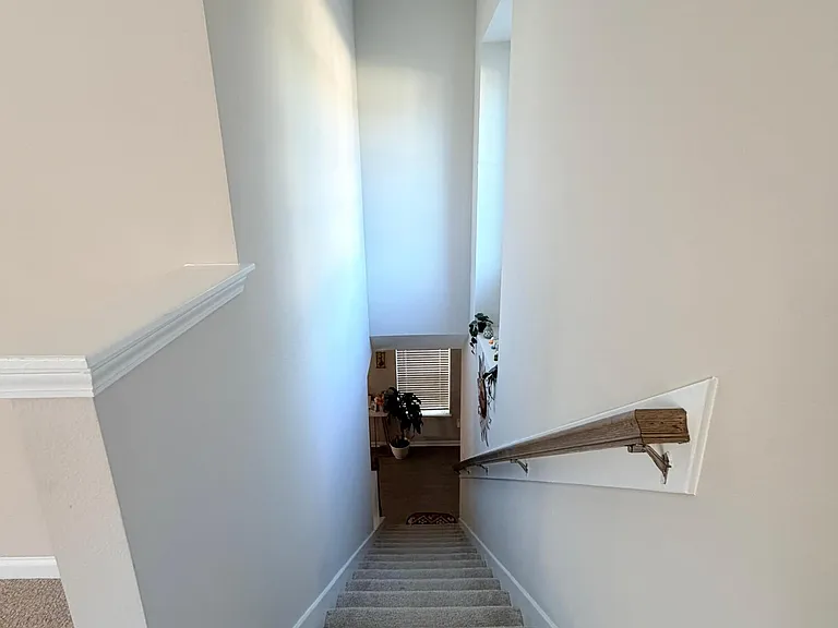 70 Golden Fern Dr — Photo 36