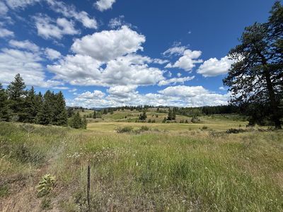 42 Tedesco Rd, Republic, WA, 99166
