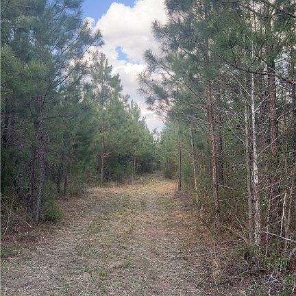 4th image of 0 Loman Rd Lot 19