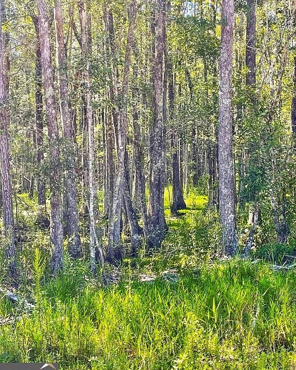 2nd image of 0 Incachee Rd