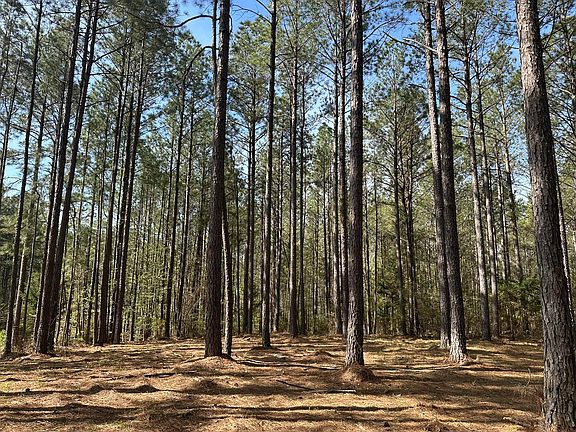 3rd image of LOT 65 Maiden Cane Way Lot 65