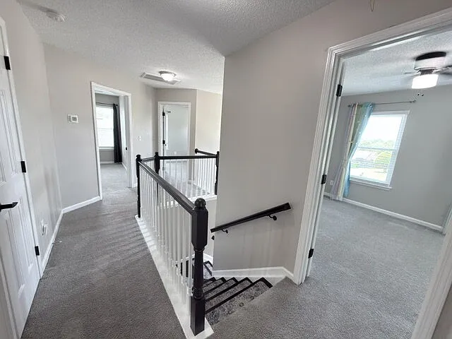8 Melrose Ct — Photo 35
