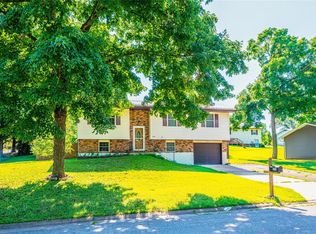 909 Jane Dr, Park Hills, MO 63601