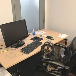 Rented by Mason Group LLC