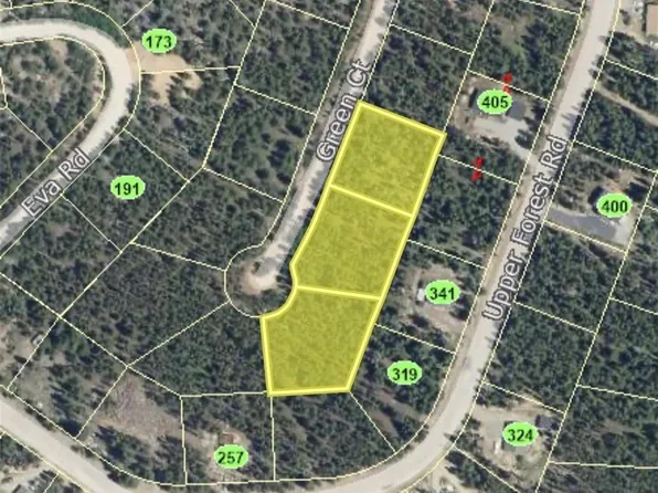 111 Green Court, Idaho Springs, CO 80452