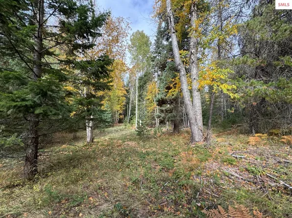 Nna Rascals Rd, Sandpoint, ID 83864