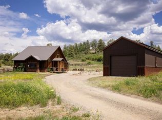 1434 Meadows Dr, Pagosa Springs, CO 81147