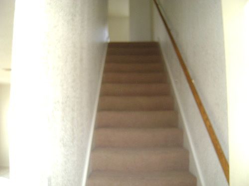 4th image of 202 W Mary Jane Dr APT D