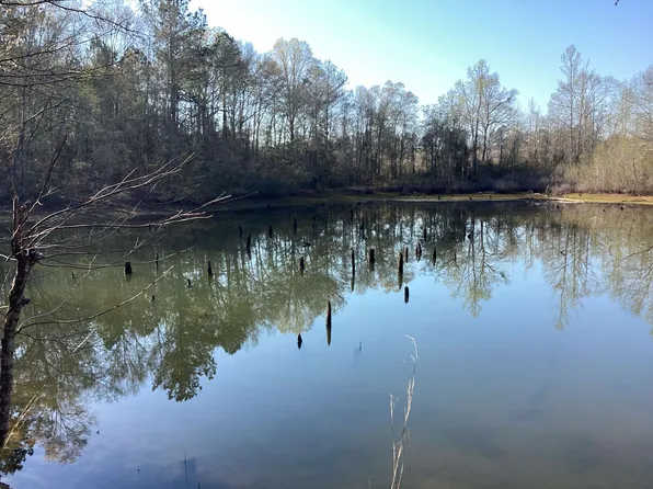 108 Carlisle Rd, Andalusia, AL 36421