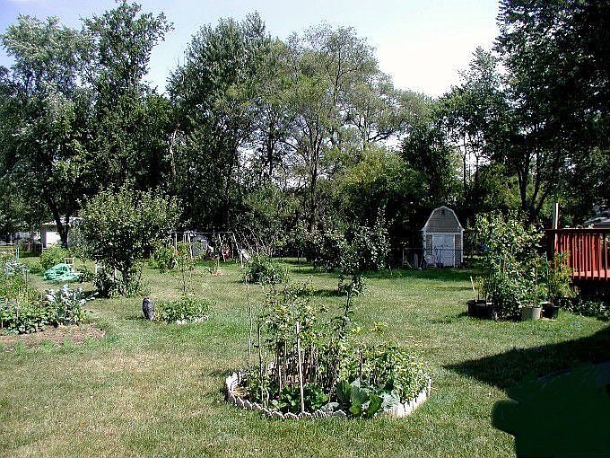 Organic Plantings
