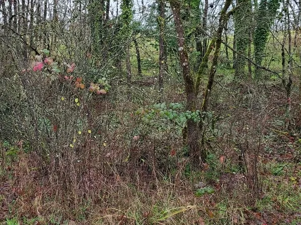 (undisclosed Address), Saint Helens, OR 97051