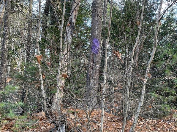 Lot 40 Lord Brook Road, Grand Falls Twp, ME 04418