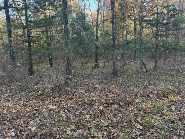 (undisclosed Address), Cove, AR 71937