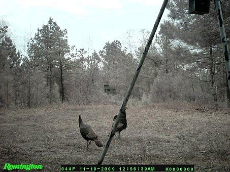2nd image of 2643 Fm 1701